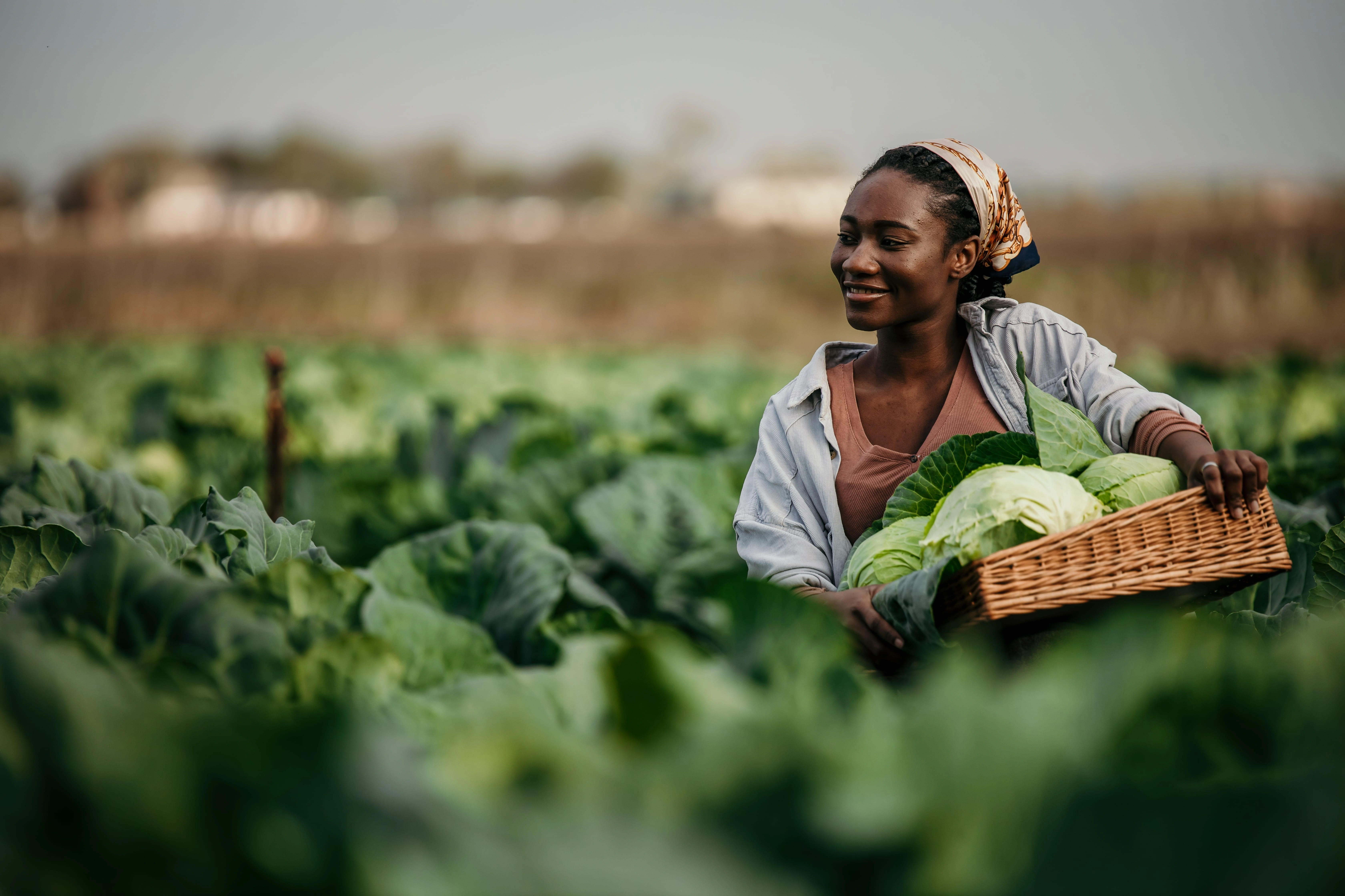 ENVIRONMENTAL HEALTH