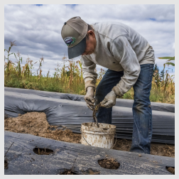 Occupational Safety and Health