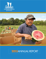 2013 Annual Report