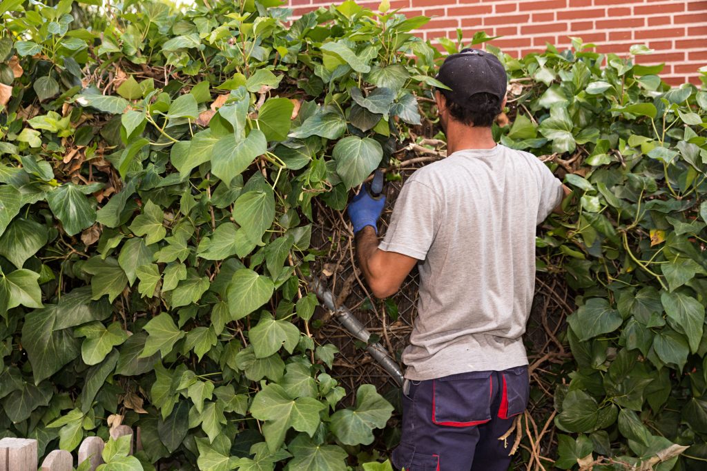 guest worker program for agriculture