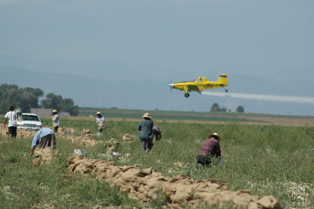 plane fumigating workers2