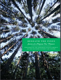 Beneath the Pines