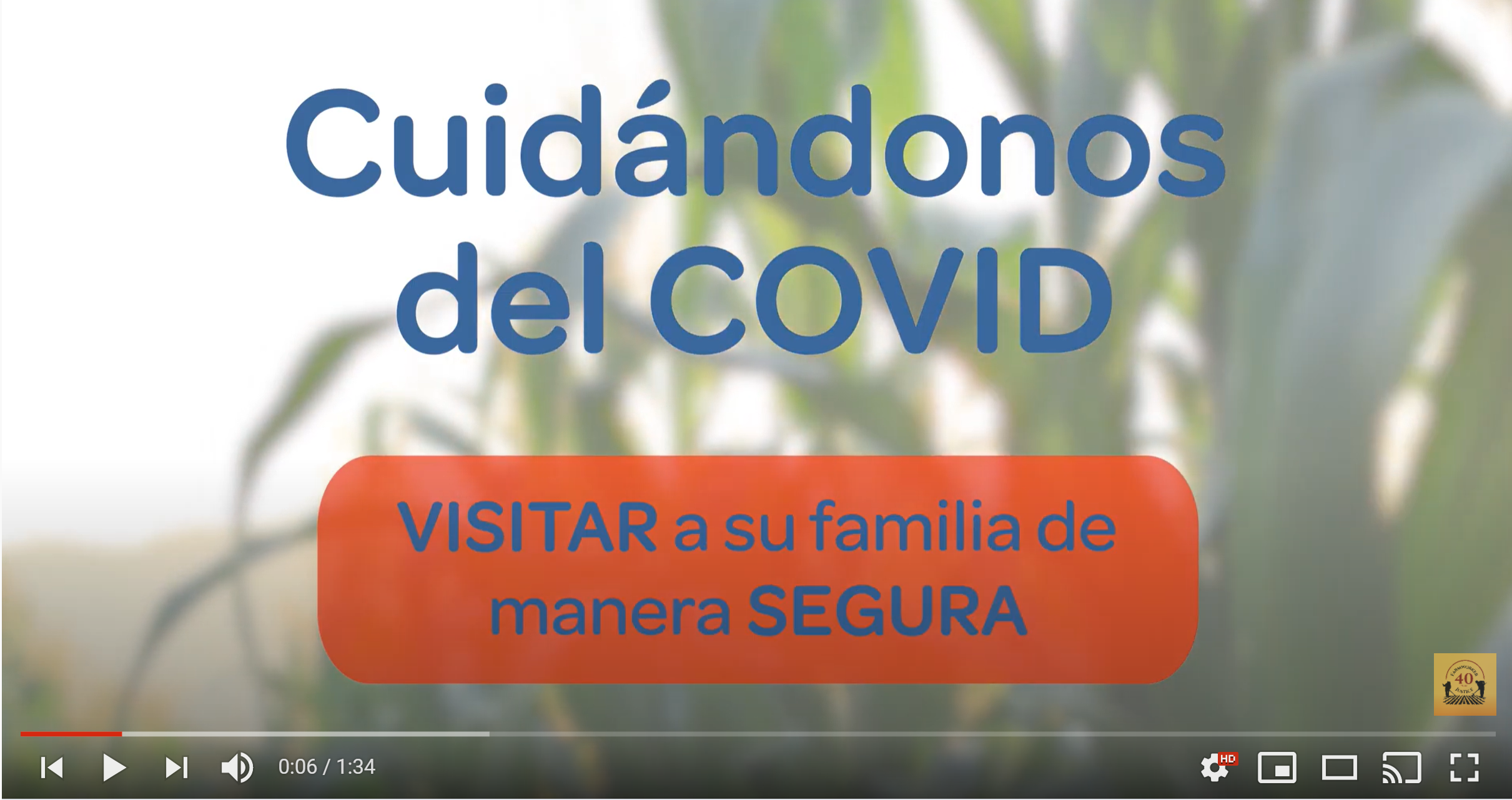 COVID-19 Video PSAs